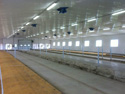 Ferme Martin Beaudry, St-Valérien - Image 7