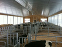 Ferme Quiko - Image 3