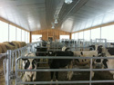 Ferme Quiko - Image 4