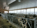 Ferme Quiko - Image 7